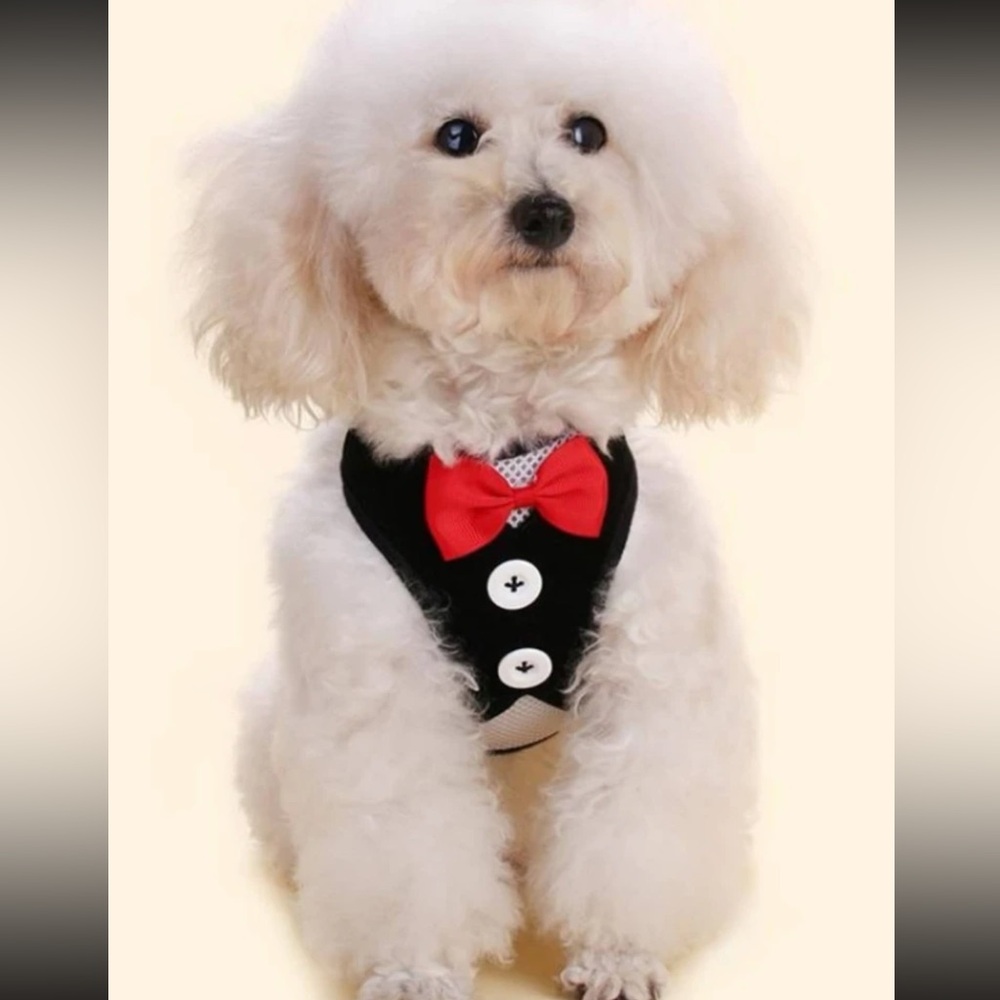 Bow tie dog harness / leash